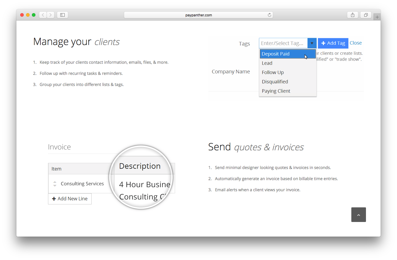 PayPanther consulting crm webpage screenshot project management software manage client send quotes invoices