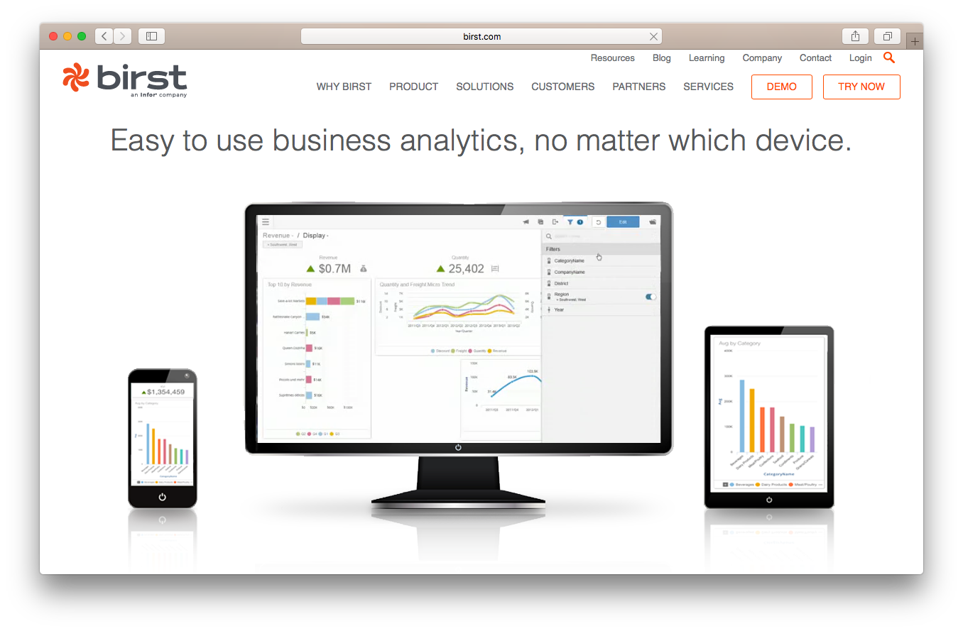 Birst homepage screenshot business analytics device