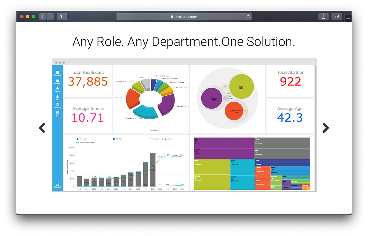 intellicus dashboard BI business intelligence