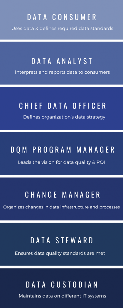 dqm organization structure